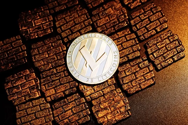 A Litecoin is on a bricks