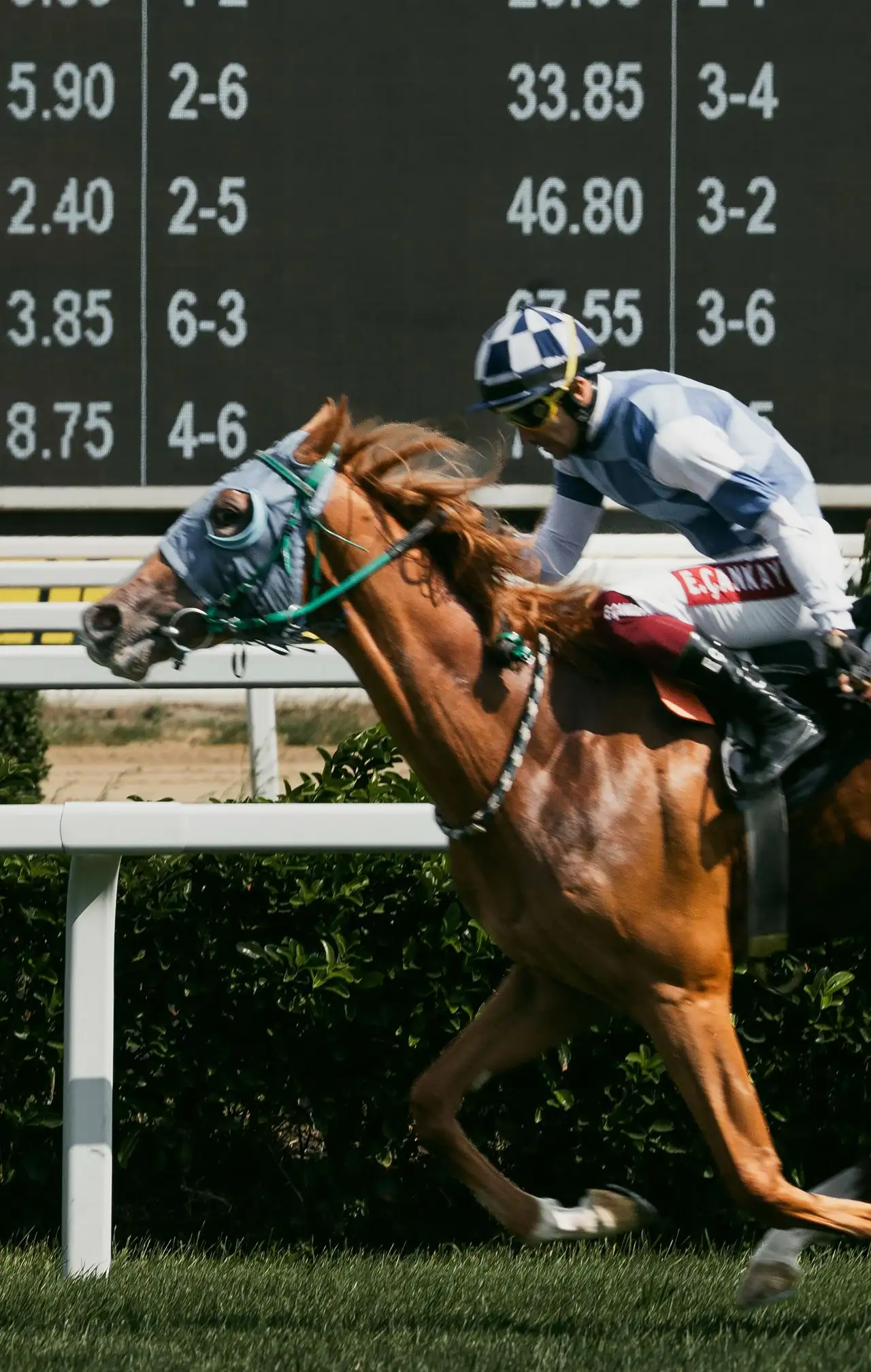 Horse racing